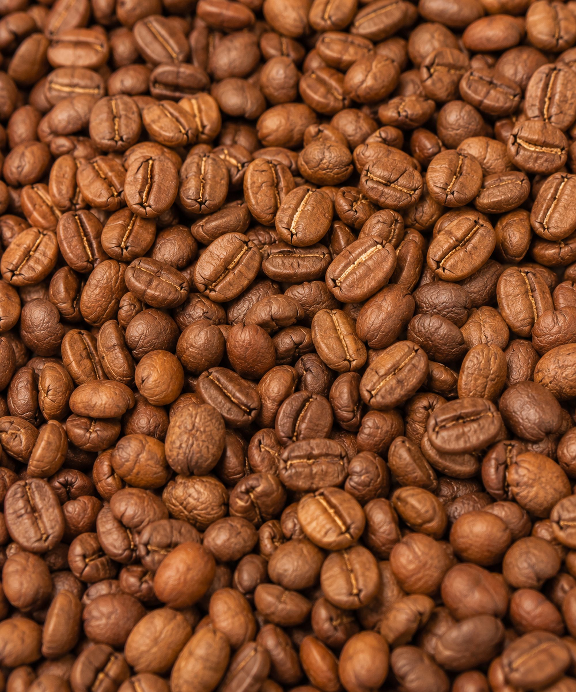 Grinder Seasoning Beans